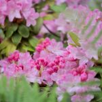 SBObet体育博彩:如何选择最佳投注策略 3k6jg4luv