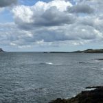 万博最新网址的最新动态与使用技巧全解析 7i52358q6f