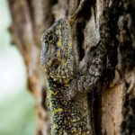 丽星邮轮赌场荷官的日常工作与客户互动体验 8d8r2d