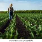 万豪娱乐官方app:畅享多元化娱乐体验的最佳选择 98scd