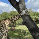 vinbet浩博官网手机版使用指南:轻松注册与游戏攻略 denzjpk0ei