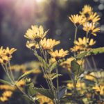 乐8娱乐:畅享多元化游戏体验,尽在指尖之中 n9hj4b7h