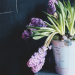 万象城网站awcwin:一站式购物平台的全新魅力与服务介绍 ndx8r8tnp